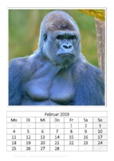 Februar_Flachland-Gorilla.pdf